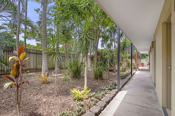 rear tropical gardens