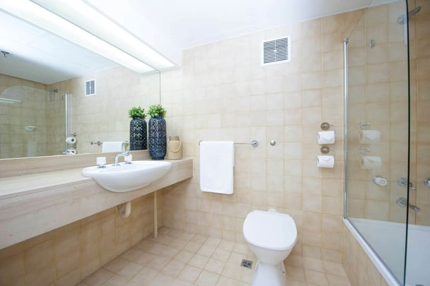 STANDARD | UNREFURBISHED BATHROOM