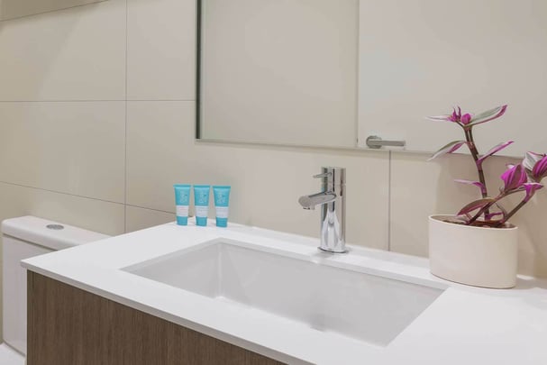 Bathroom Amenities and vanity
