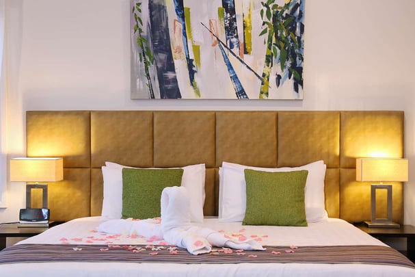 Park View King Room