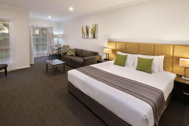 Park View King Room