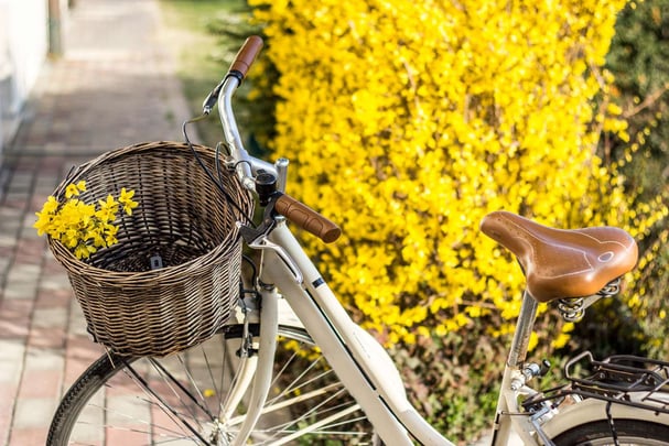 biciclette fiori gialli noleggio bestwesternmodenadistrict