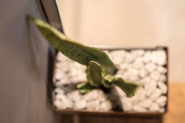 Guest Room Furnishings