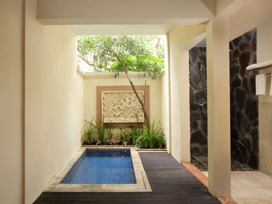 Deluxe Bedroom with Plunge Pool