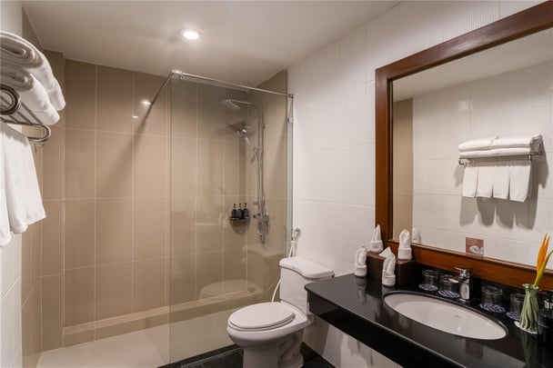 deluxe family villa wing Bathroom