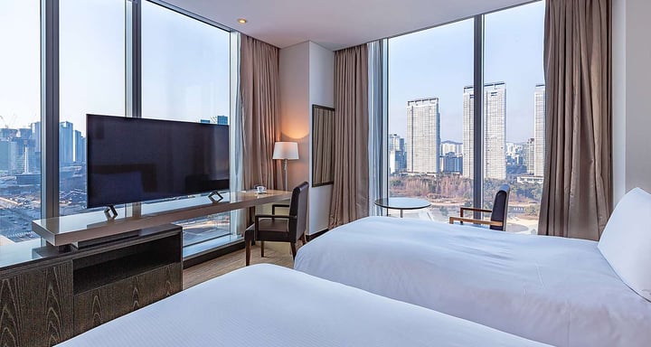 Deluxe Twin Park view