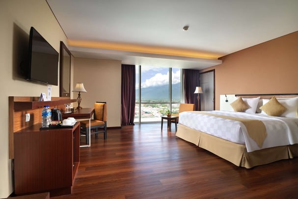 Deluxe Queen Mountain View