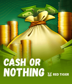 Imagem do jogo Cash or Nothing