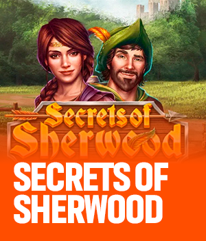 Imagem do jogo Secrets of Sherwood