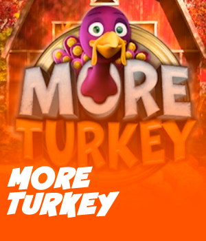 Imagem do jogo More Turkey