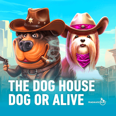 The Dog House - Dog or Alive