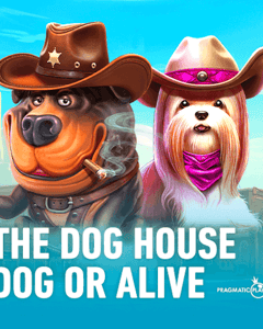 The Dog House - Dog or Alive