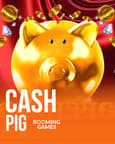 Cash Pig