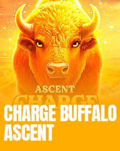 Charge Buffalo-ASCENT