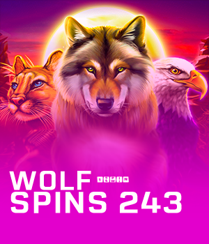 Wolf Spins 243