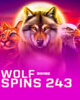 Wolf Spins 243