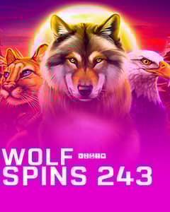 Wolf Spins 243