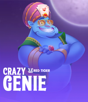 Imagem do jogo Crazy Genie