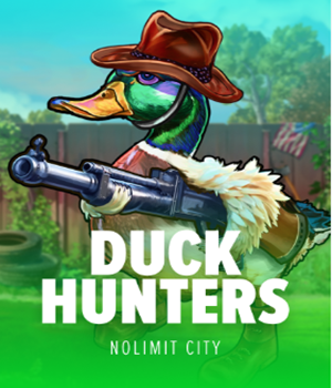 Imagem do jogo Duck Hunters