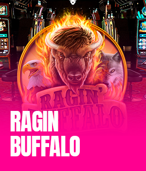 Ragin' Buffalo	
