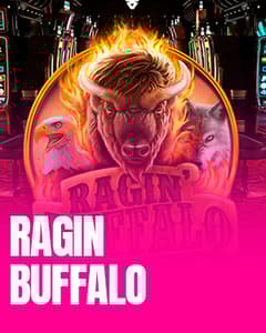 Ragin' Buffalo	
