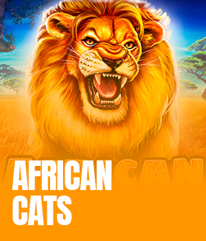 African Cats