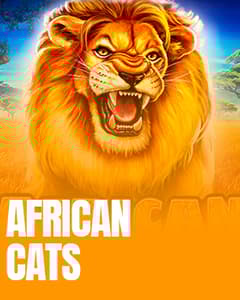 African Cats