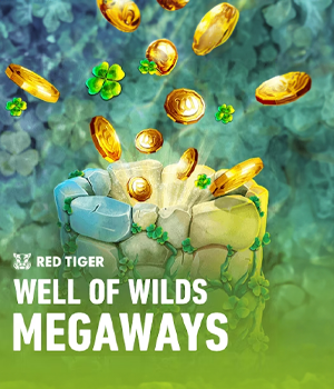 Imagem do jogo Well of Wilds MegaWays
