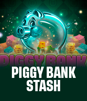 Piggy Bank Stash