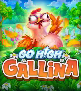 Go High Gallina