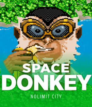 Imagem do jogo Space Donkey