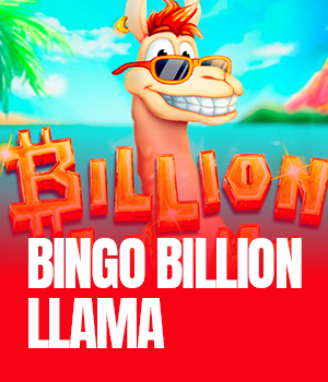Bingo Billion Llama