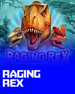 Raging Rex