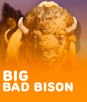 Imagem do jogo Big Bad Bison