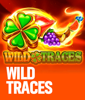 Imagem do jogo Wild Traces