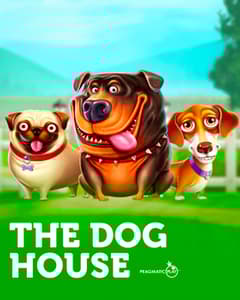 The Dog House