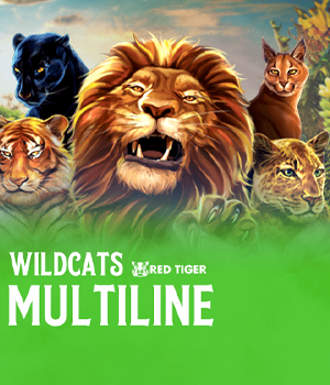 Imagem do jogo Wild Cats Multiline
