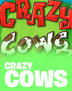Crazy Cows