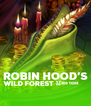 Imagem do jogo Robin Hood's Wild Forest