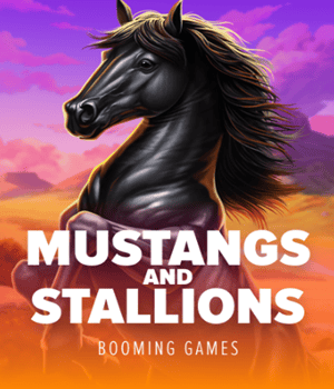 Mustangs and Stallions