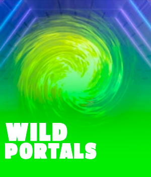 Imagem do jogo Wild Portals