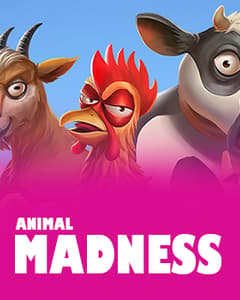 Animal Madness