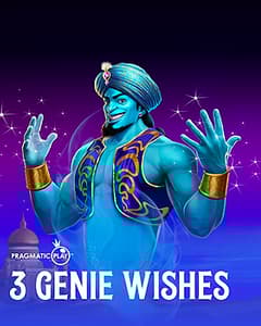 3 Genie Wishes