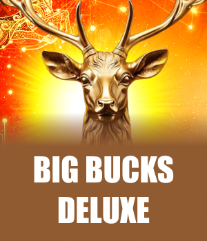 Imagem do jogo Big Bucks Deluxe