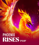 Phoenix Rises