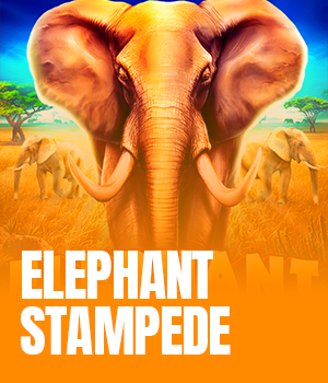 Elephant Stampede