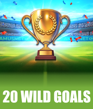 Imagem do jogo 20 Wild Goals