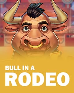 Bull in a Rodeo