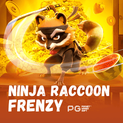 Ninja Raccoon Frenzy