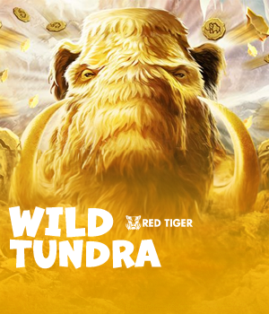 Imagem do jogo Wild Tundra